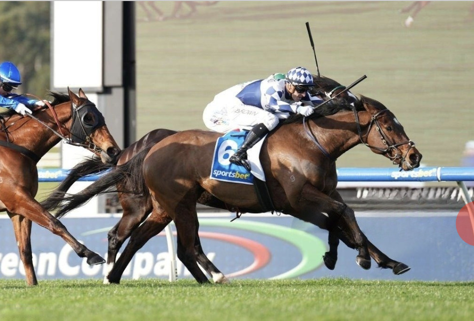 Lethal Thoughts winning at Sandown with jockey Ethan Brown 04 August 24